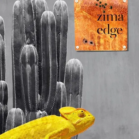 Zima Edge